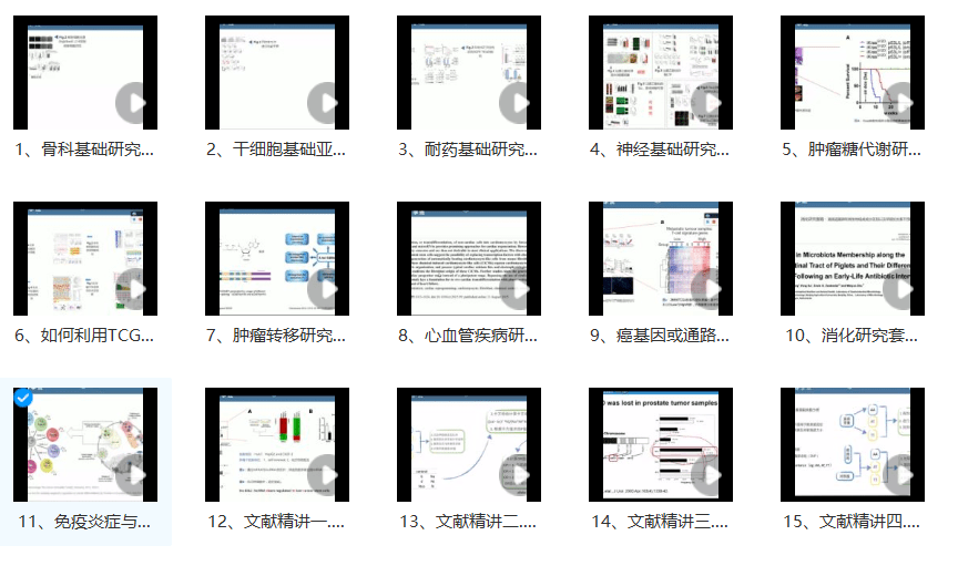 全年资料免费大全,科学化方案实施探讨_豪华版8.713