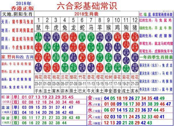 2024新澳门正版免费资料生肖卡,绝对经典解释定义_Tablet61.794