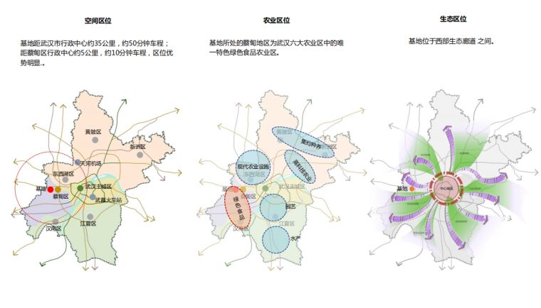 湖北省武汉市蔡甸区发展规划解析，最新蓝图揭晓