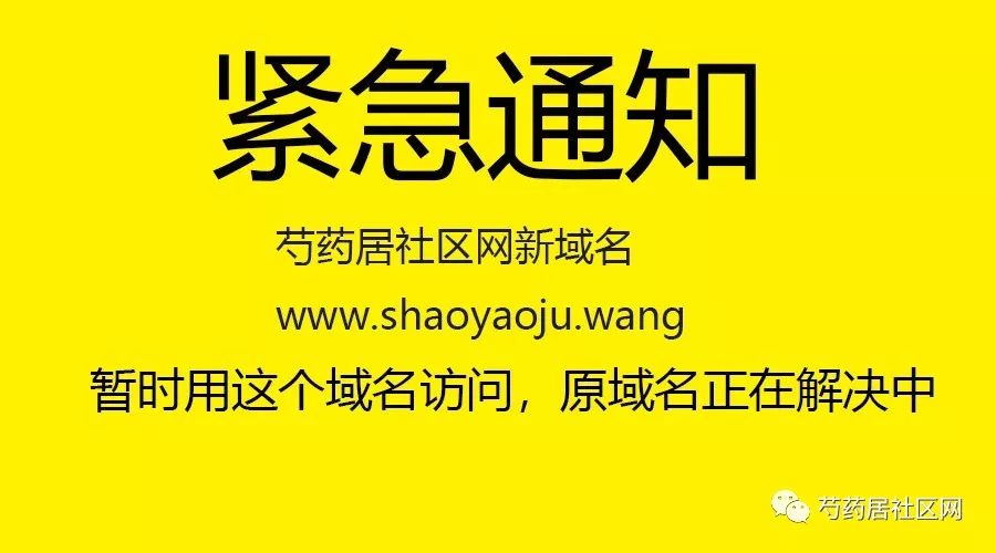 最新域名技术与管理策略的挑战探索