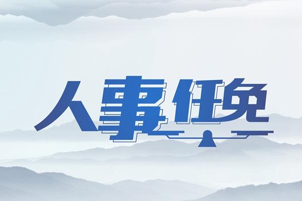 海南最新人事任免动态概览