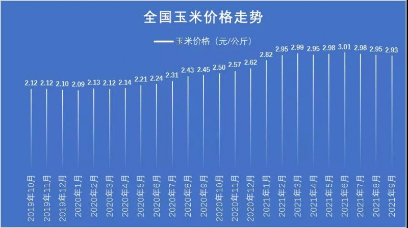 山西玉米价格行情最新分析