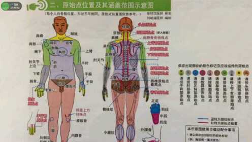 最新医学奇迹案例揭秘，探索原始点治疗法的足迹