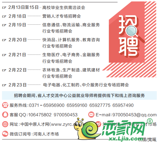 登封招聘网最新招聘动态深度解析与解读