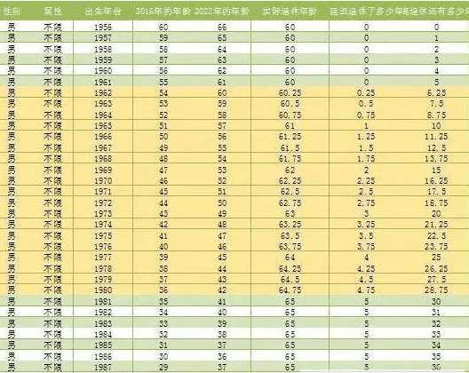 延迟退休年龄最新表，社会变革中的应对与挑战之道