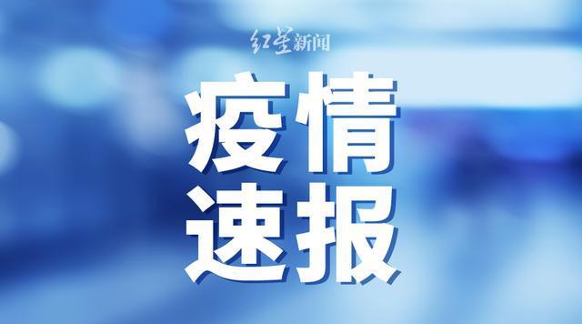 新澳门历史记录查询最近十期,实证研究解释定义_尊贵版42.813