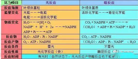 新奥彩资料免费最新版,涵盖广泛的解析方法_2DM32.367