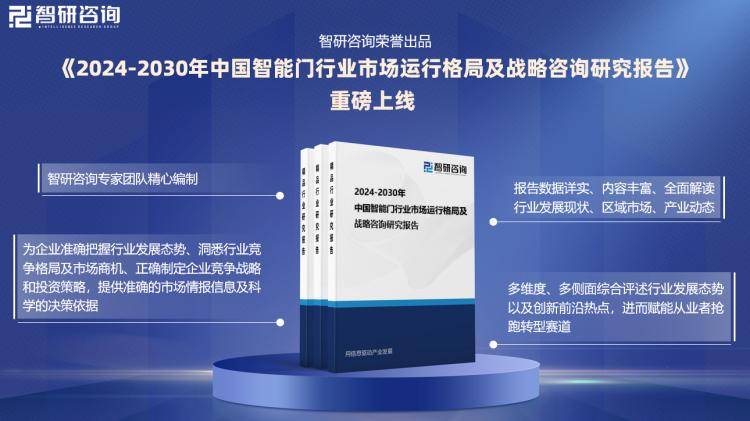 2024新奥门资料最精准免费大全,标准化实施程序分析_X49.215