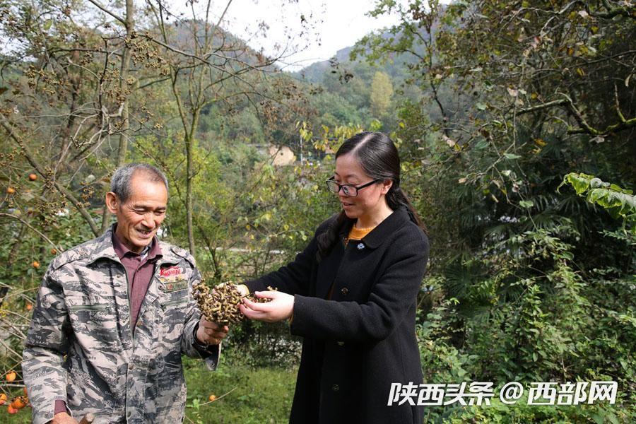 最准一肖100%准确使用方法,确保解释问题_旗舰款73.151