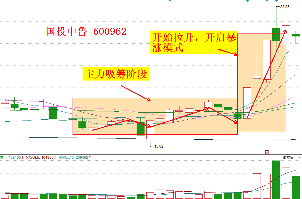 澳门100%最准一肖,预测分析解释定义_R版19.127