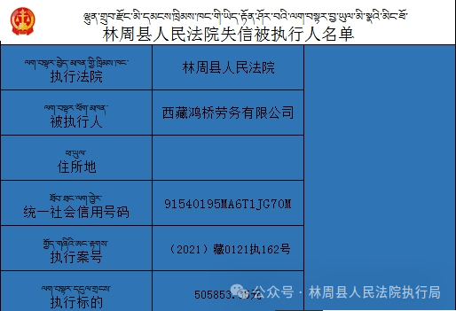 2024澳门正版资料大全,统计分析解释定义_N版28.456