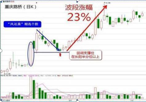 新奥门特免费资料大全火凤凰,实用性执行策略讲解_复古版59.313