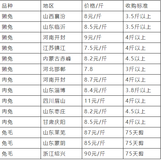 獭兔最新价格及市场趋势与影响因素深度解析