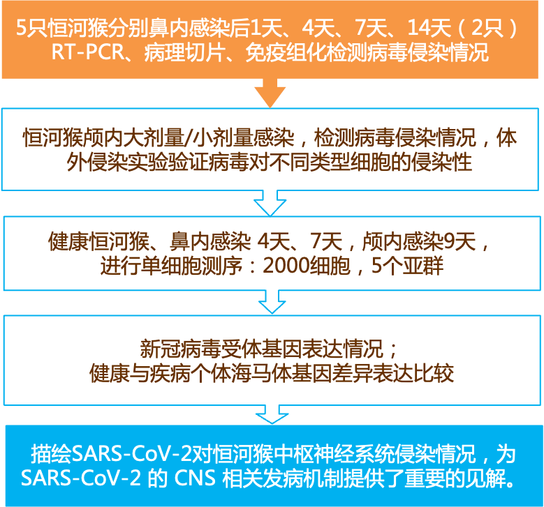 新澳2024年精准资料33期,实效性解析解读_The41.709