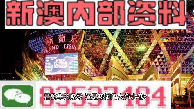 新澳门精准资料大全管家婆料,经典解读说明_限定版28.847