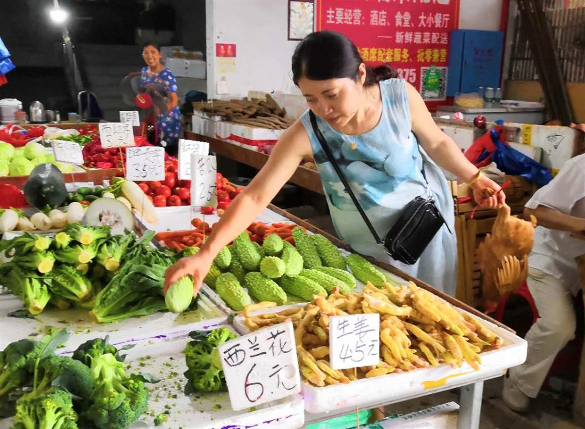 香菜价格最新行情解析