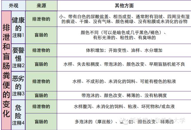 新澳历史开奖最新结果查询表,权威评估解析_PT54.376