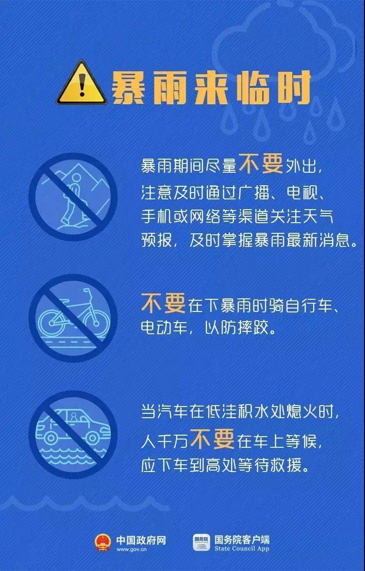 通草的功效与作用能通输卵管堵塞,高速响应执行计划_Holo40.519