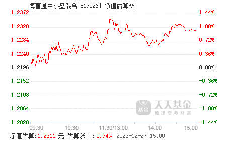 全面解读，今日最新净值公布，关于519066基金净值查询报告