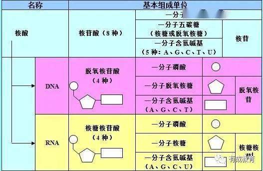 新奥彩资料免费最新版,涵盖广泛的解析方法_2DM32.367