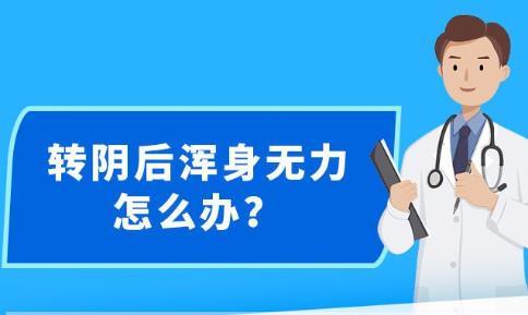 新澳精准资料免费提供,最新核心解答落实_LT37.176