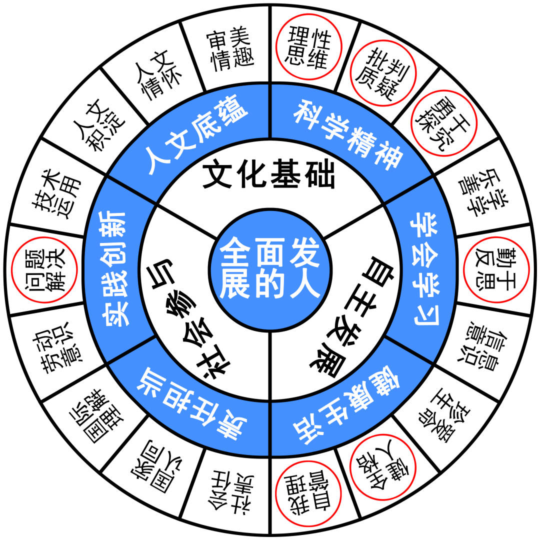 最准一码一肖100%凤凰网,传统解答解释落实_Mixed35.723