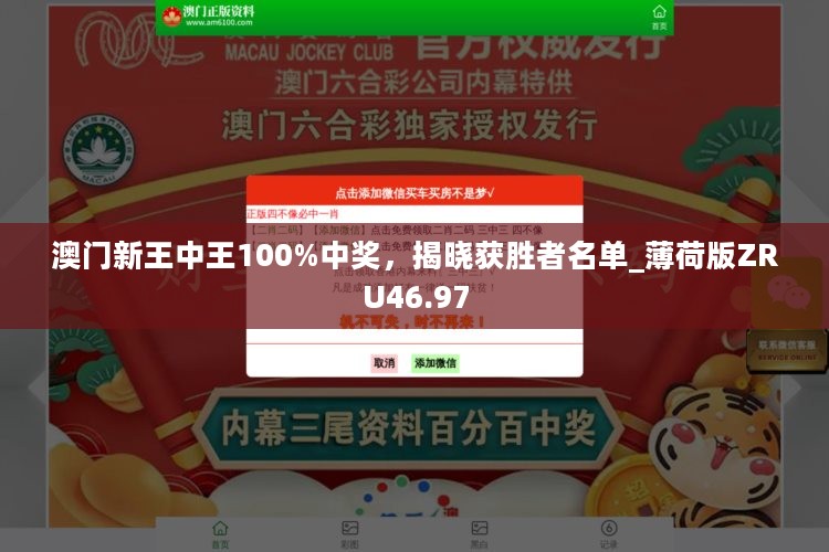 澳门王中王100,迅捷解答方案实施_iShop44.283