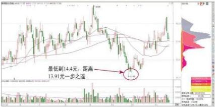 新研股份最新消息全面解读与分析