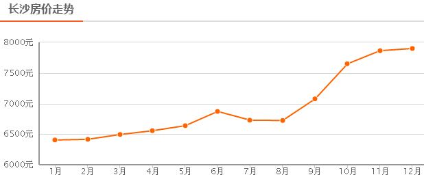 2024年11月19日 第11页