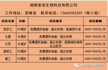 陵县最新招聘信息全面解析