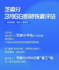 新奥管家婆资料2024年85期,科技评估解析说明_轻量版19.111