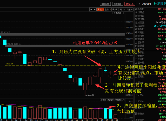 新澳资料免费大全,未来解答解释定义_静态版15.941