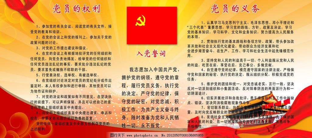 党员权利和义务的最新解读概览