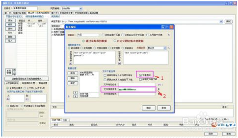 2024年11月20日 第10页