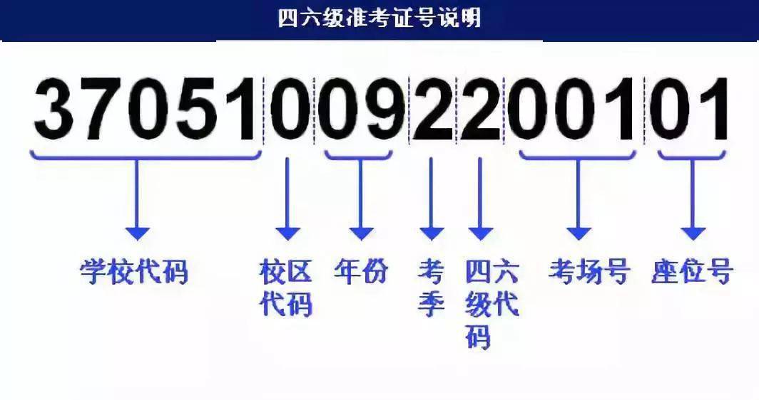 2024年澳门管家婆三肖100,可靠计划执行策略_PalmOS33.363