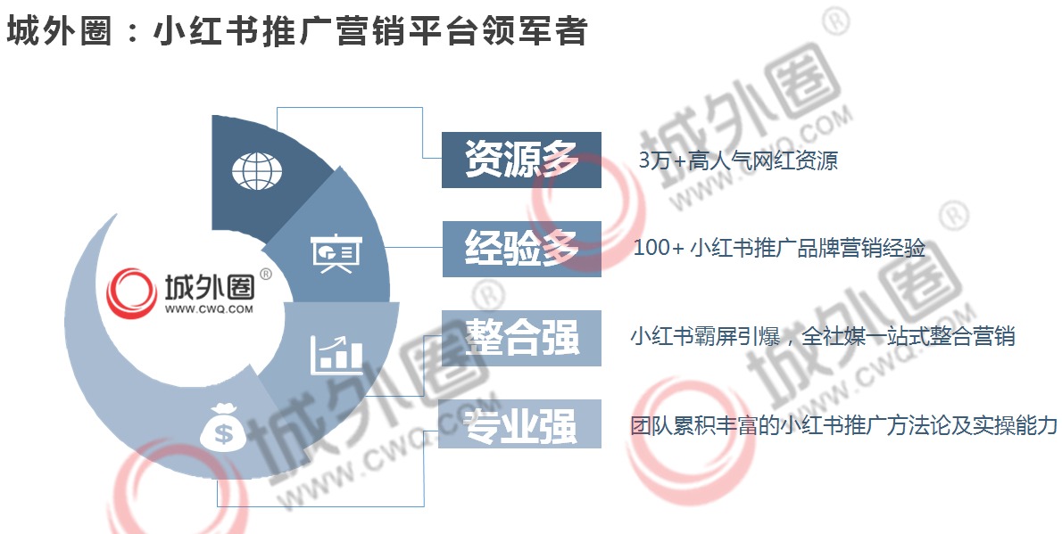 2024新澳精准资料免费提供下载,数据导向解析计划_苹果版56.100