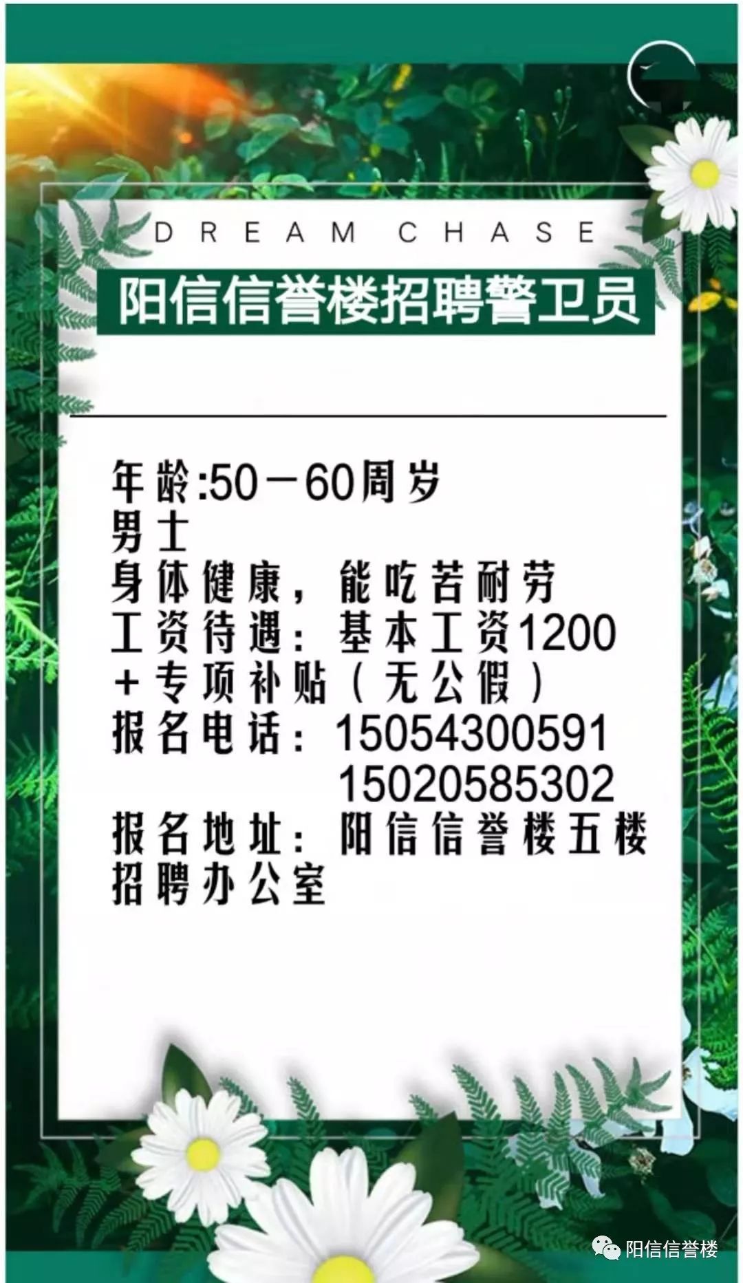 阳信最新招聘动态与机会深度探讨