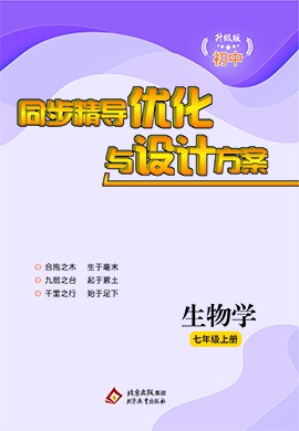 2024新奥精准资料免费大全,战略性方案优化_C版53.401