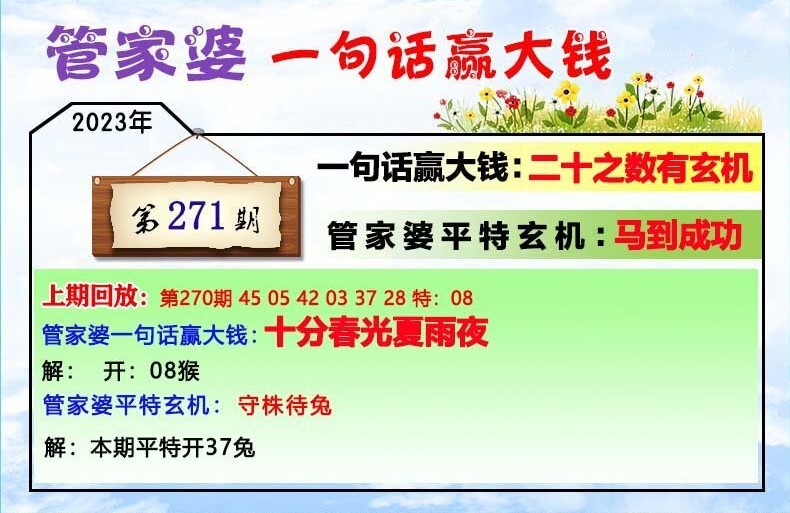 2020管家婆一肖一码,详细解读落实方案_专业版77.302