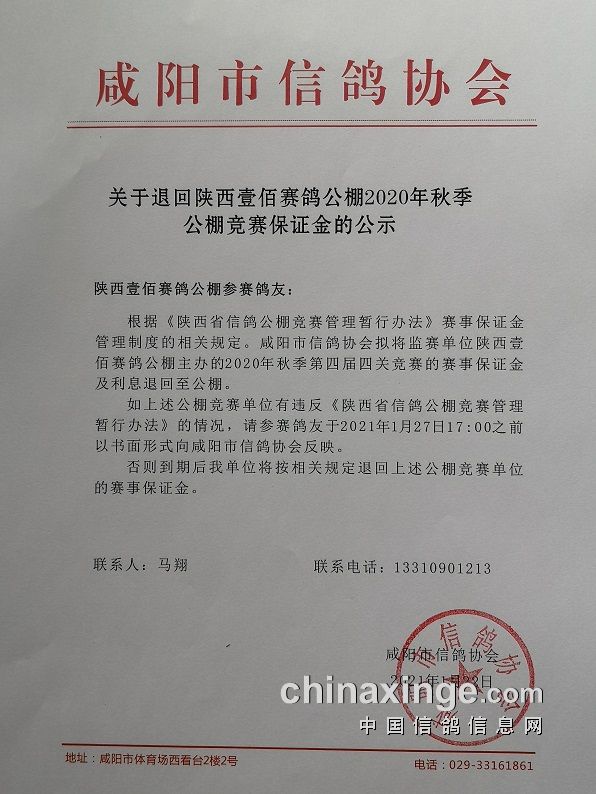 万博公棚最新公告深度解析