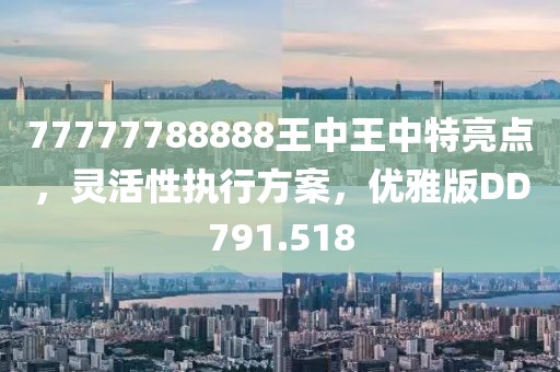 77777788888王中王中特攻略,实地设计评估方案_体验版82.773