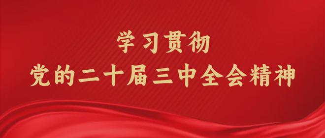 2024新澳门正版资料免费大全,福彩公益网,数据整合实施方案_视频版29.371