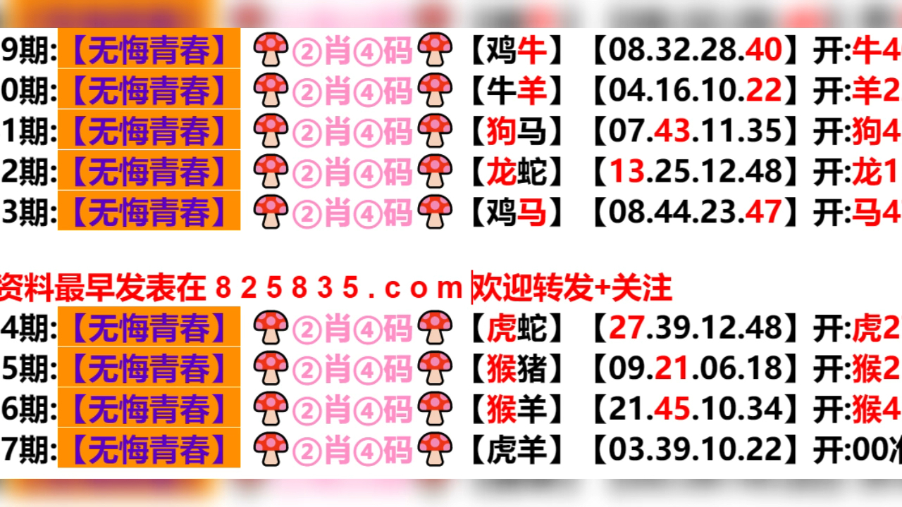 2024新奥门天天开好彩大全85期,实地验证方案策略_V版77.716