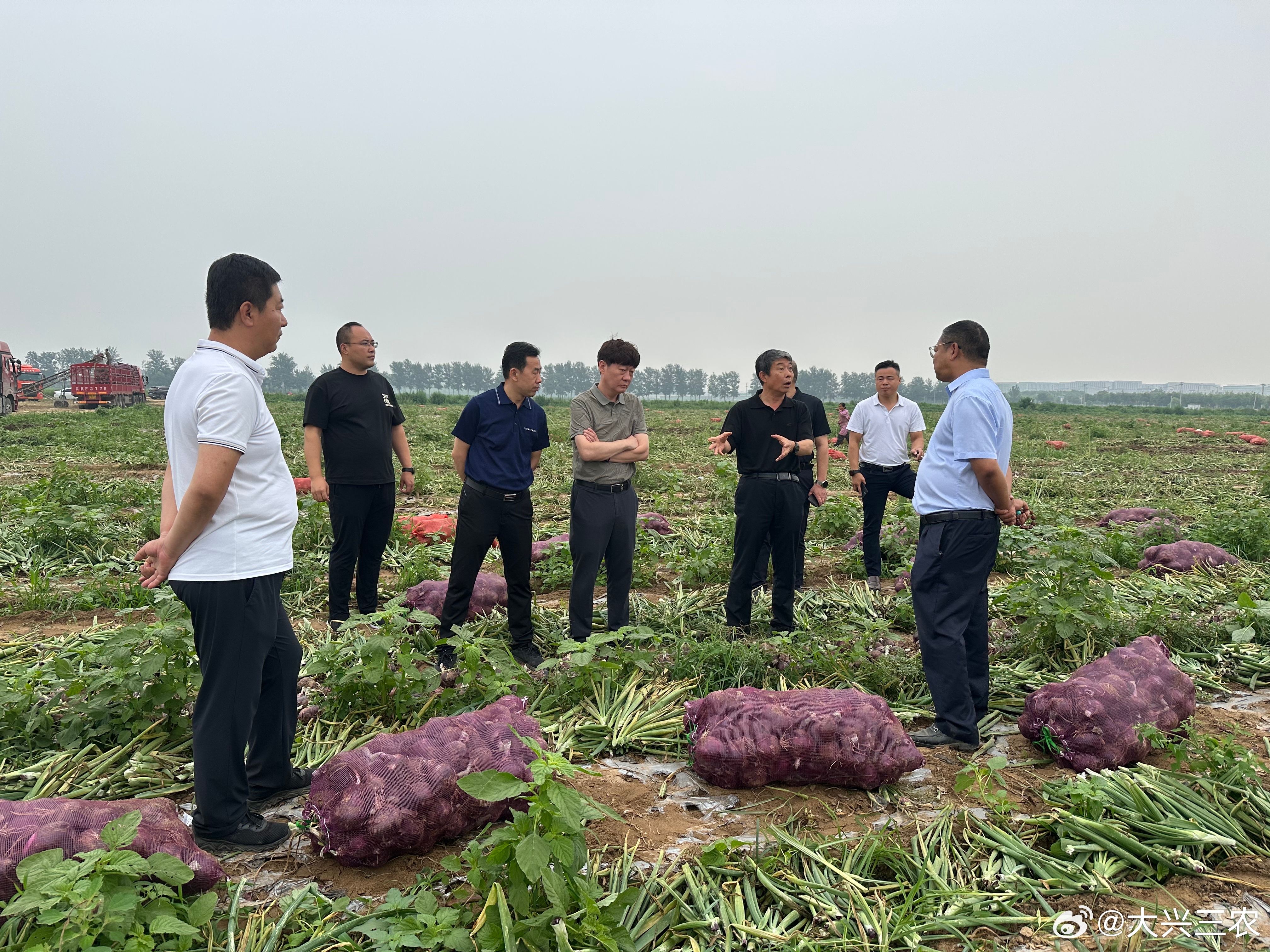 鹿泉市农业农村局最新动态深度解析