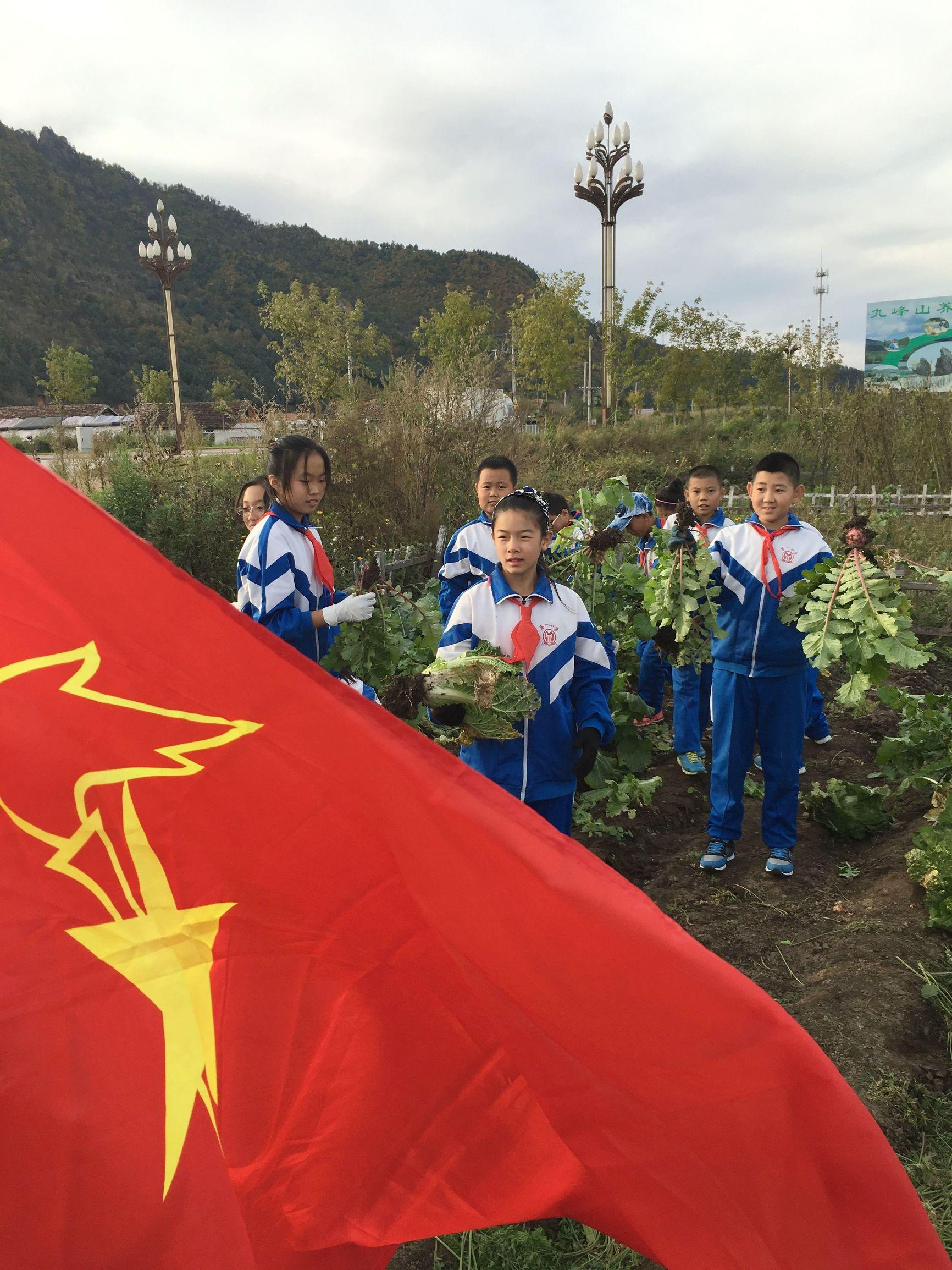 金山屯区小学重塑教育未来，最新项目启动