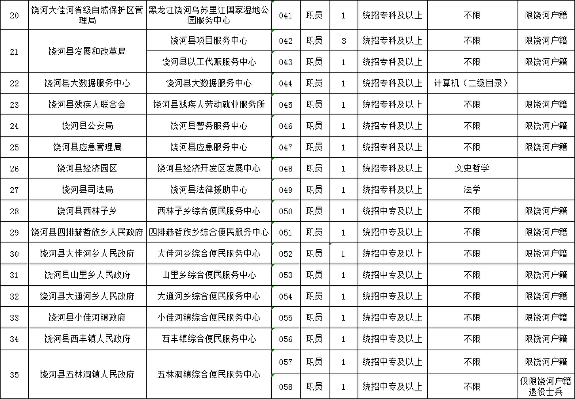 桃山区数据和政务服务局最新招聘信息概览