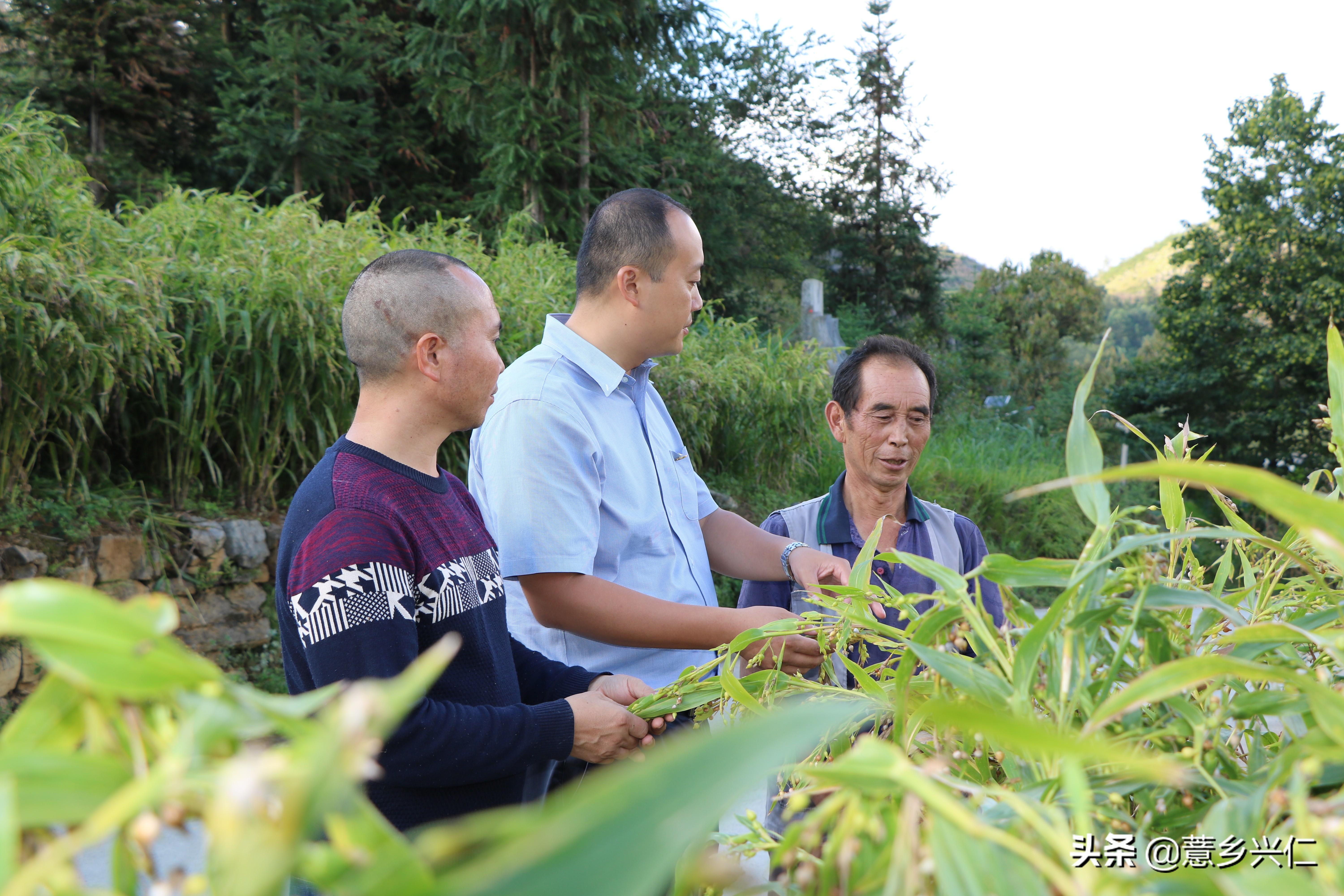 兴仁县小学最新项目，开启现代教育新篇章探索之旅