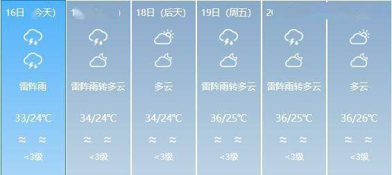 2025年1月2日 第11页