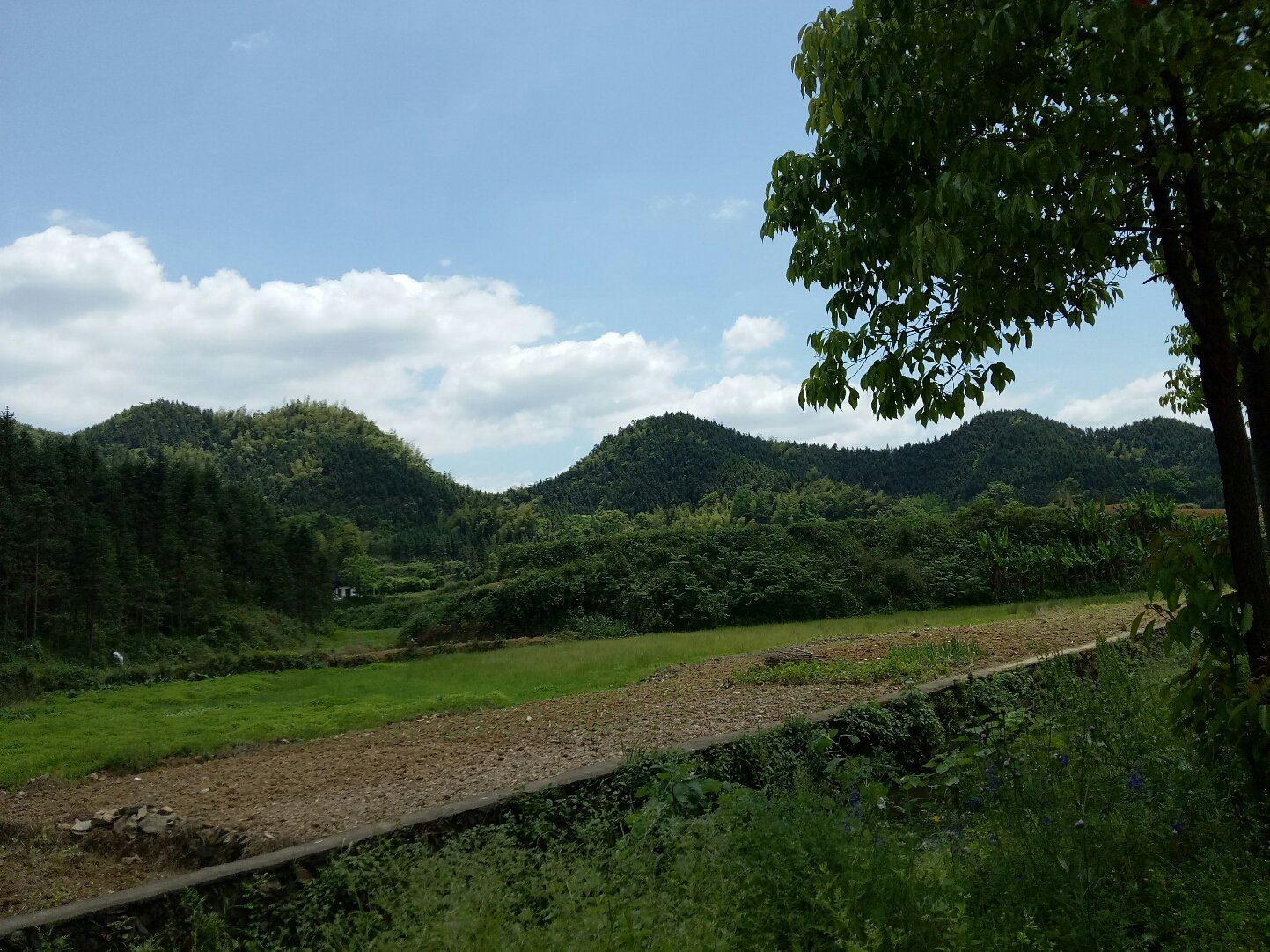 滔溪镇天气预报最新详解