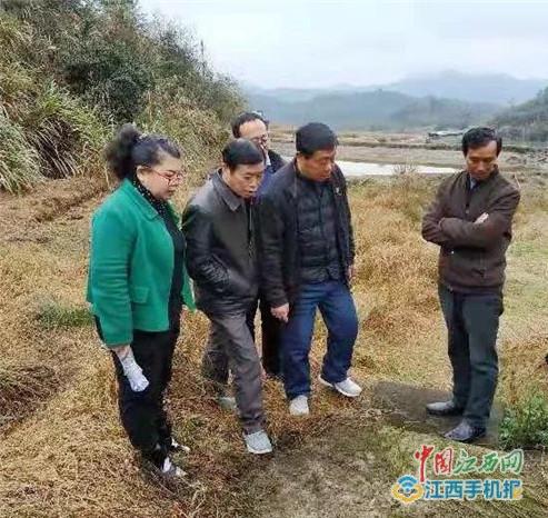 宜黄县水利局新项目启动，推动地方水资源可持续利用的重要举措